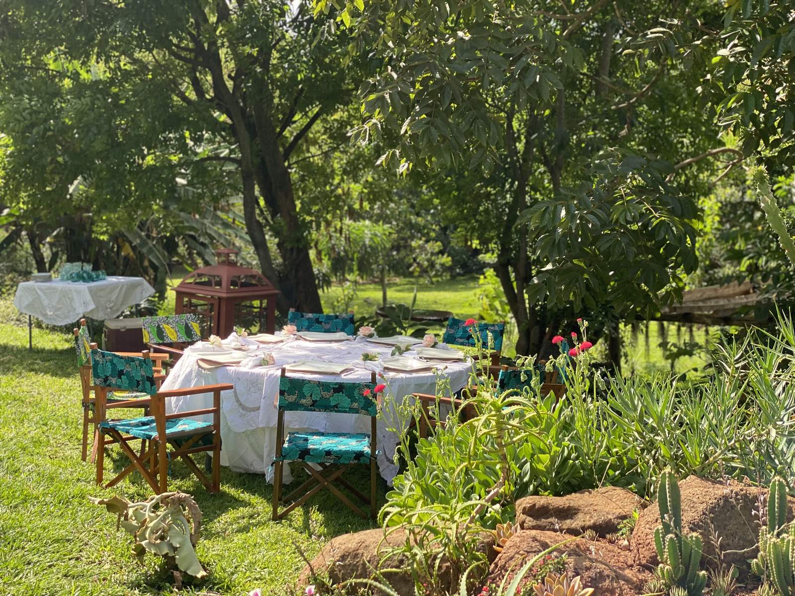 Maarifa Park - Orchard